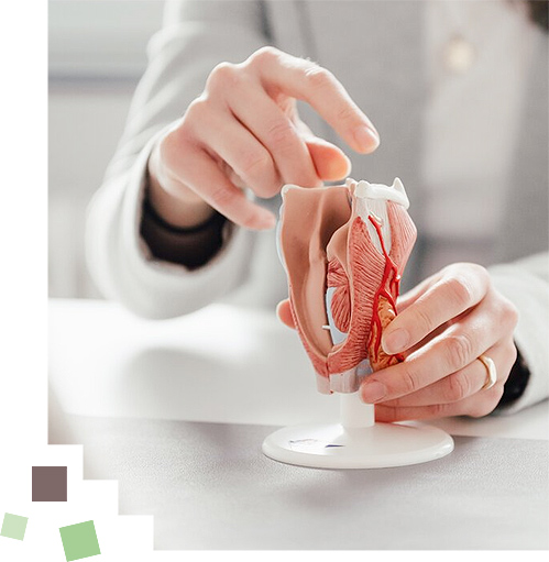 Logopädie ist ein therapeutisches Fachgebiet, das sich mit der Diagnostik und Behandlung von Störungen der Sprache, des Sprechens, der Stimme, des Schluckens und des Hörens befasst.